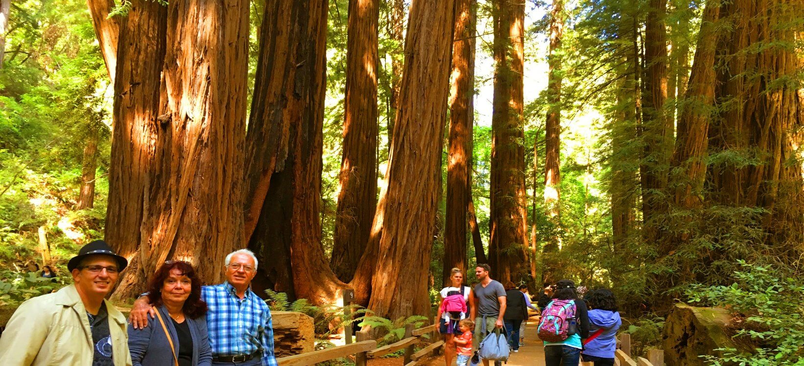 Muir-Woods-National-Monument -visiotrs-guides